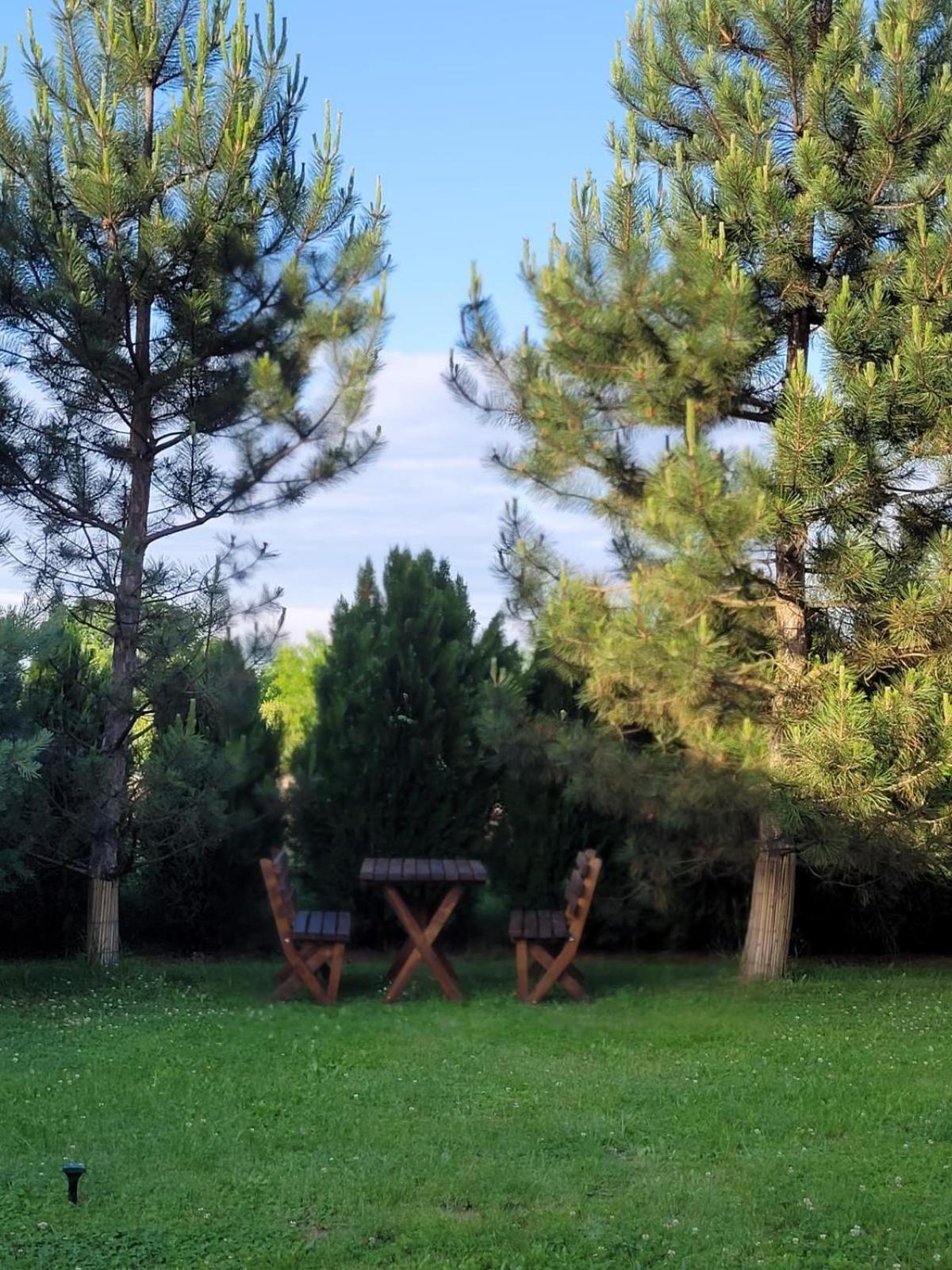 Hanul Lui Bogdan Economy Inn Faget  Екстер'єр фото